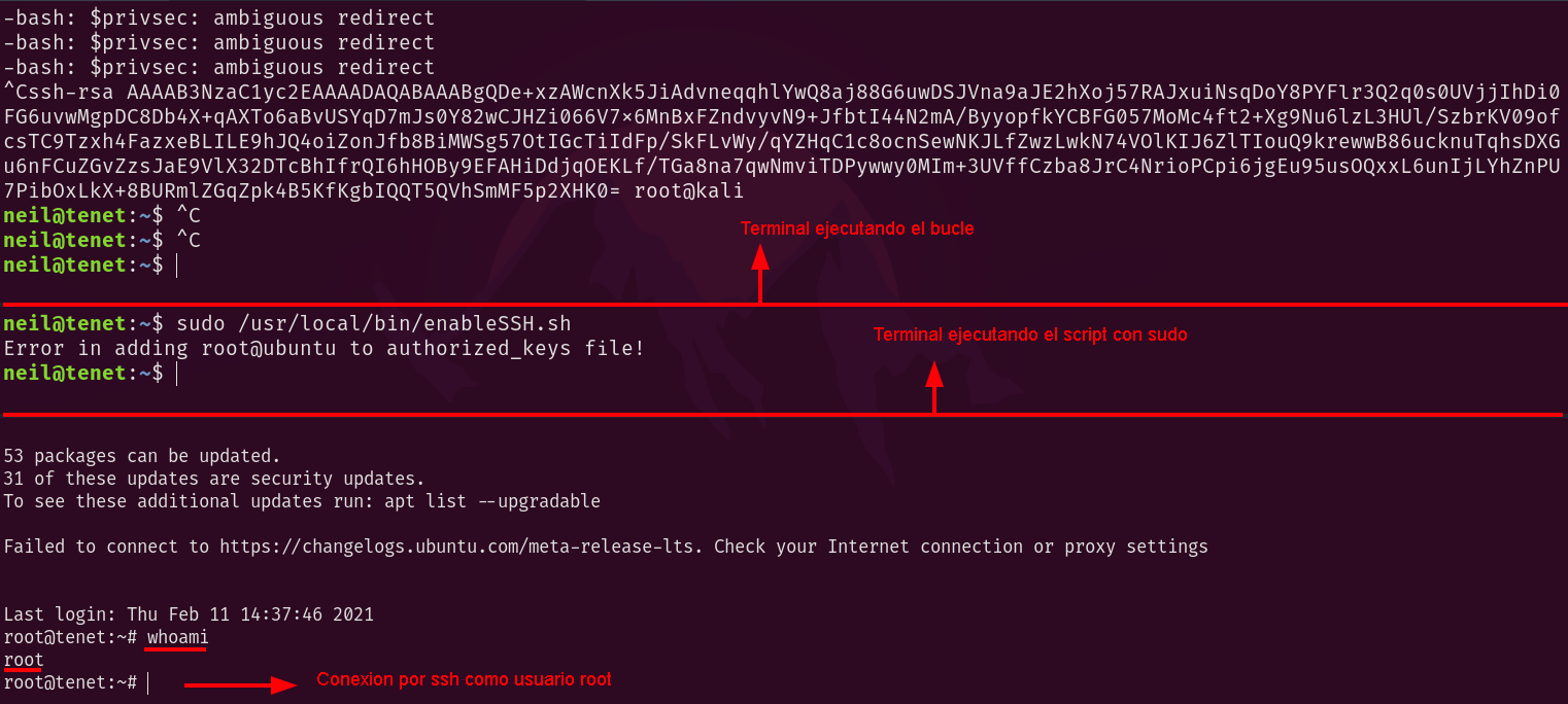 Conexión por ssh como usuario.